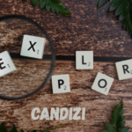 Candizi