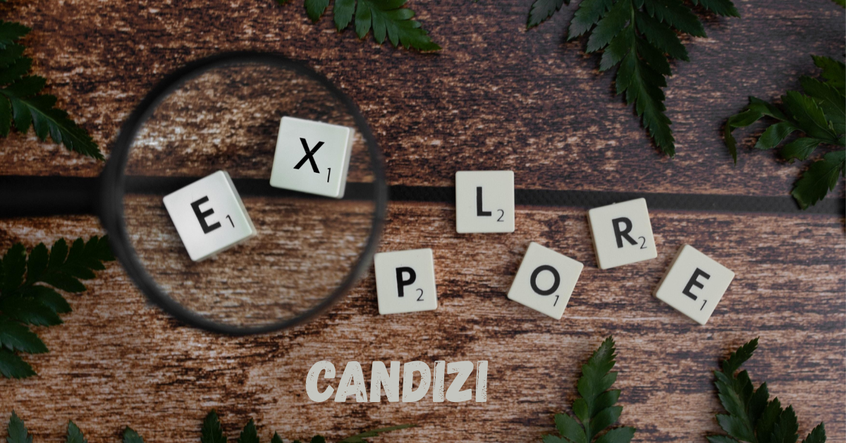 Candizi