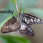 Kleptotoxicity